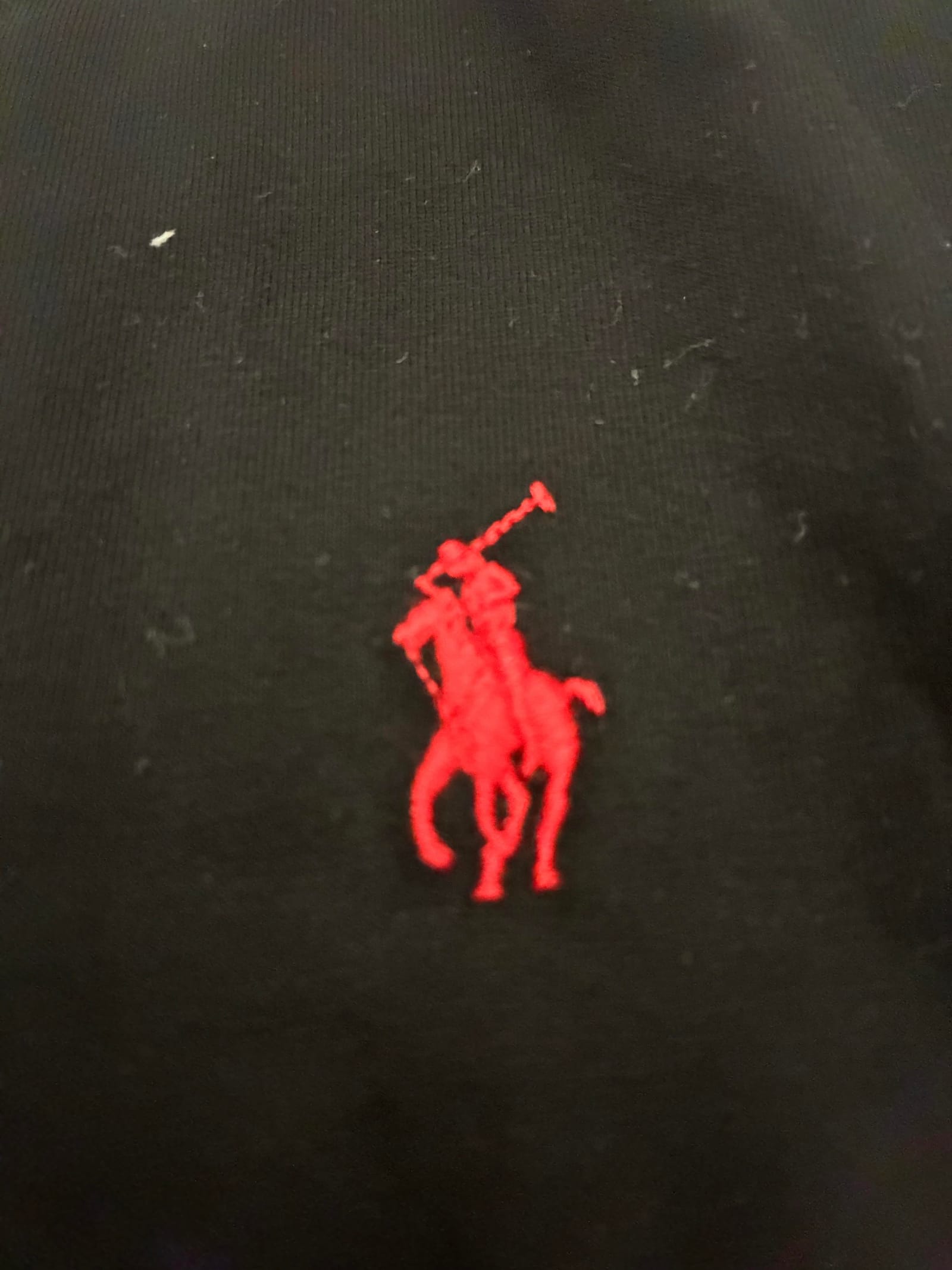 Arrival photo 7 — Ralph Lauren summer haul via MyCNBox — tees, double-knit shorts & a budget PRX
